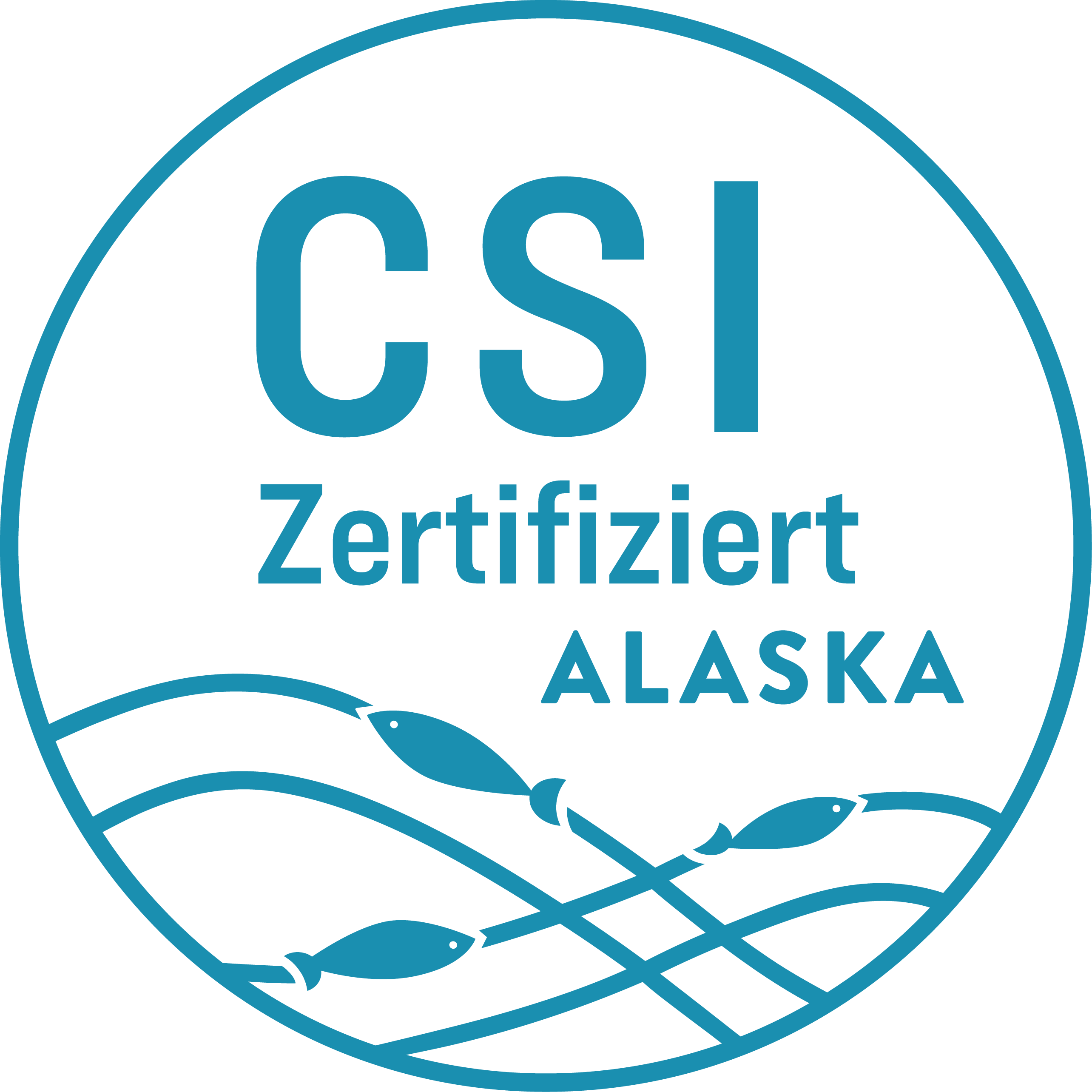 CSI