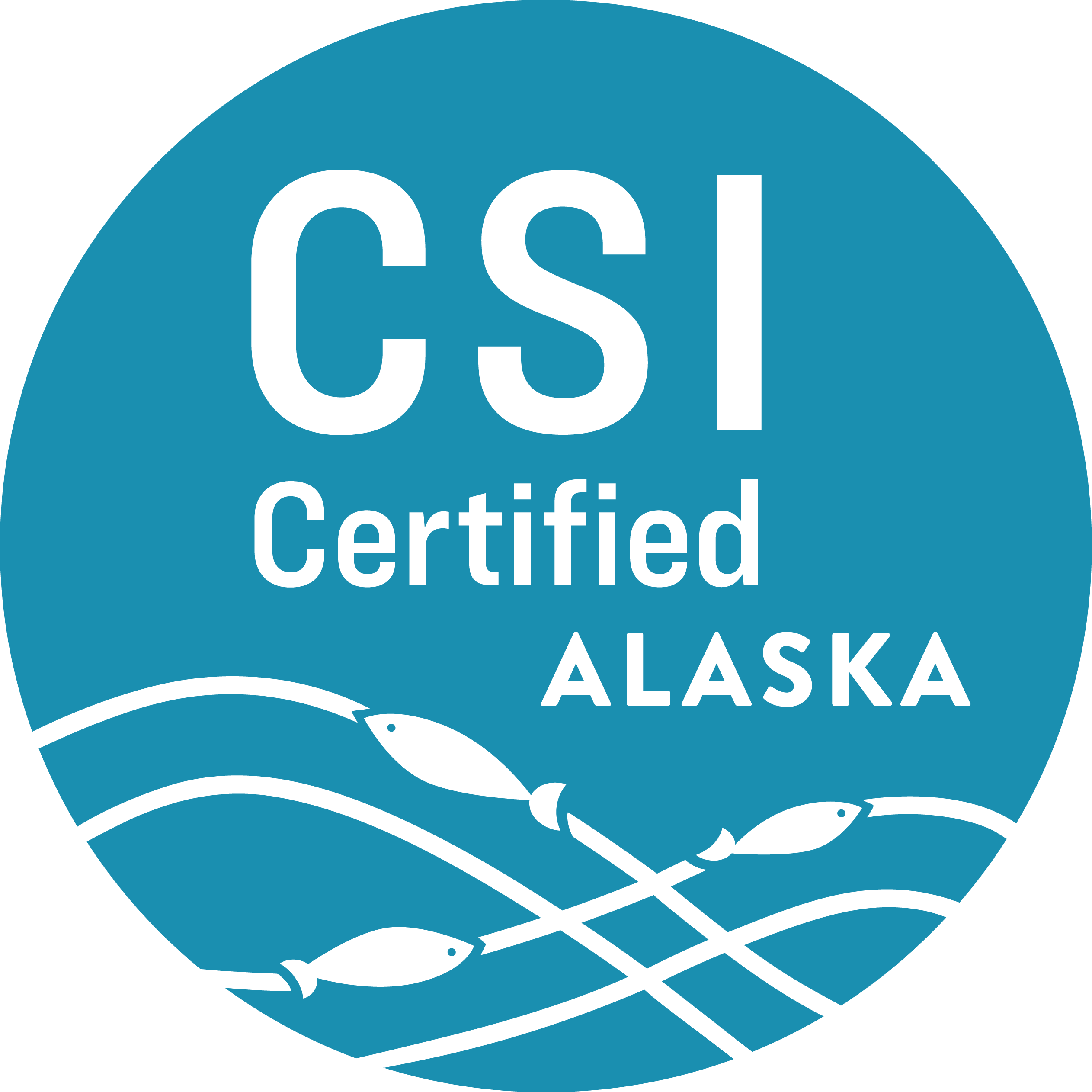 CSI